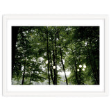 Light bulb among the trees in the summer forest thumbnail