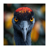 Close Up Of A Strikingly Beautiful Bird Face (Print Only) thumbnail