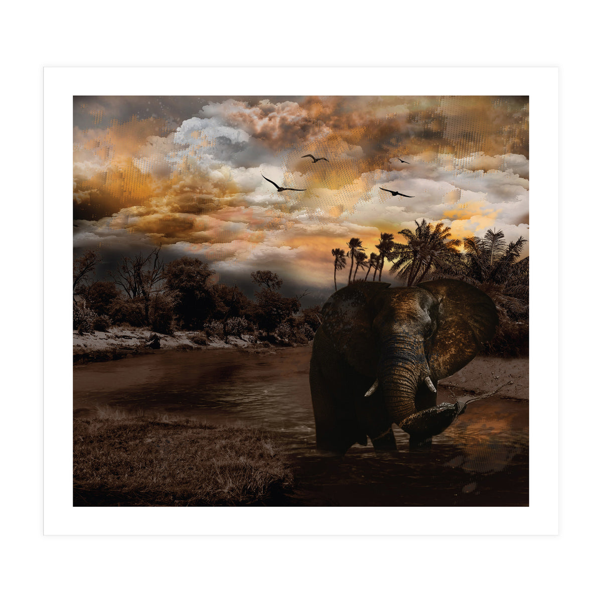 Elephant Scenic Golden Sunset African Wildlife Landscape (Print Only)