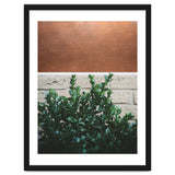 Plant + Copper thumbnail