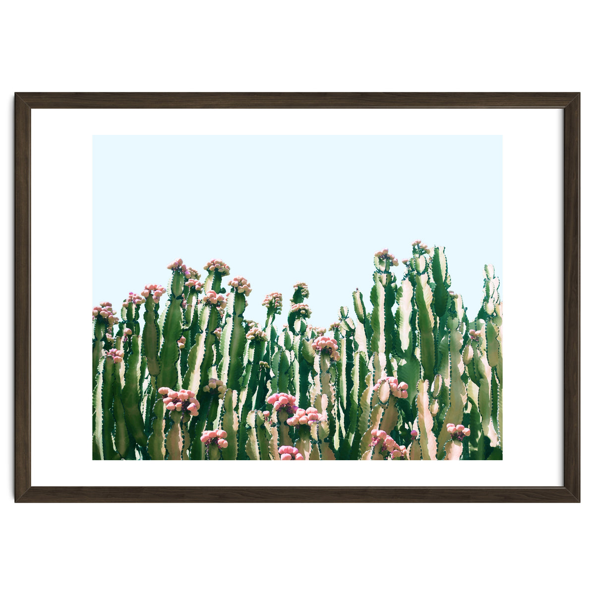 Blush Cactus #society6 #decor #buyart