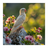 Albino Parrot Perched On A Rock Amongst Flowers (Print Only) thumbnail