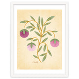 Vintage Fruits thumbnail