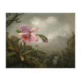 Martin Johnson Heade (Lumberville, 1819-St. Augustine, 1904). Orchid and Hummingbird near a Water... (Print Only) thumbnail