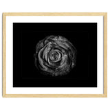Backyard Flowers In Black And White No 72 with Border thumbnail