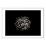 Backyard Flowers In Black And White No 81 with Border thumbnail