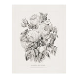 Currier & Ives – Rose of May (1870) (Print Only) thumbnail