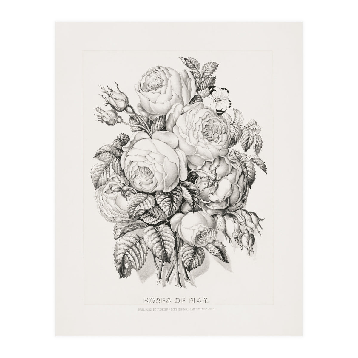 Currier & Ives – Rose of May (1870) (Print Only)