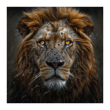 Majestic Lion With Glowing Eyes Close Up Portrait (Print Only) thumbnail