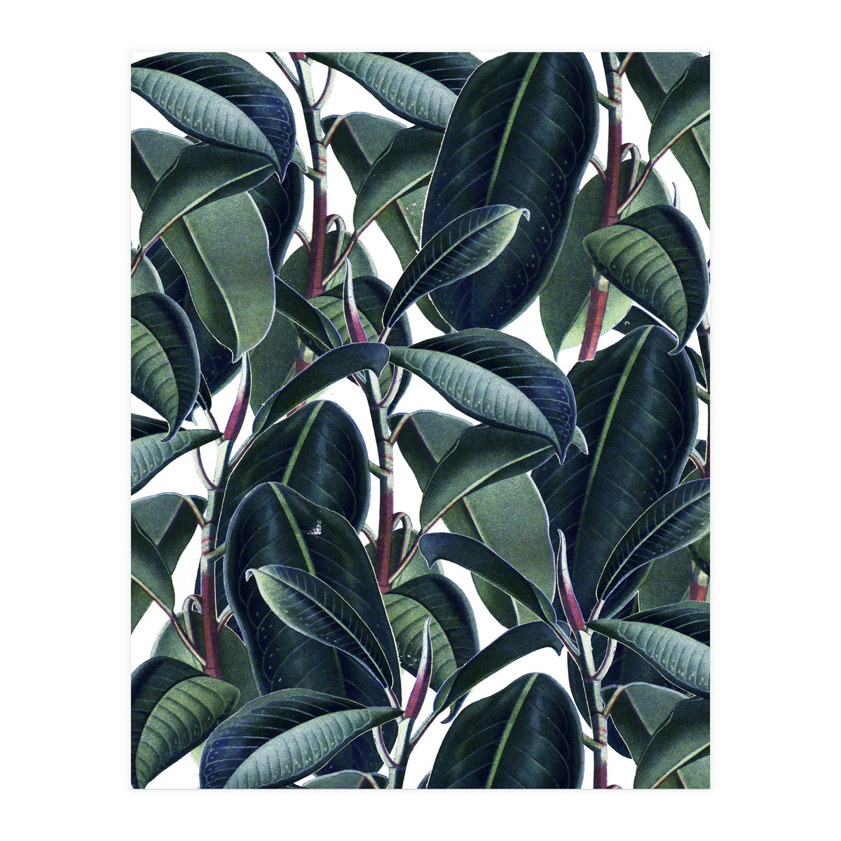 Rubber & Glue #society6 #decor #buyart  (Print Only)