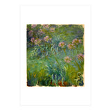 Claude Monet (1840-1926). Agapanthus. (Print Only) thumbnail