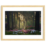 Rhododendron forest thumbnail