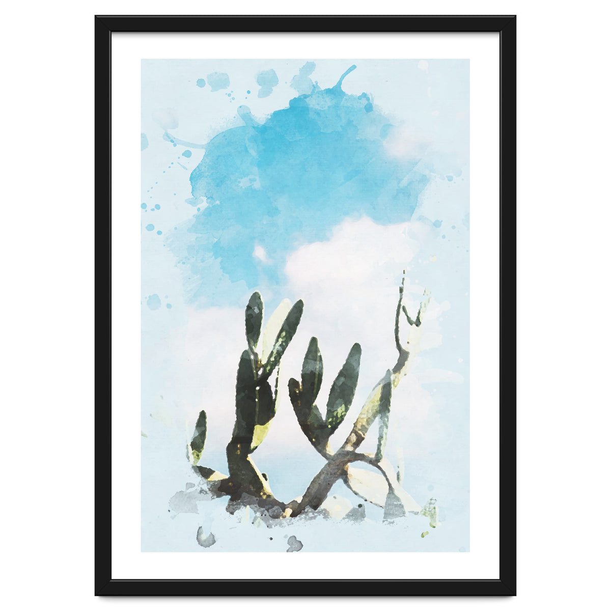 Cactus & Sky