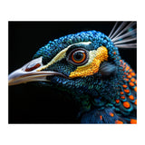 Close Up Of A Peacock Bird Head Eye (Print Only) thumbnail