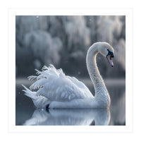 Majestic White Swan Gracefully Floating On Water (Print Only)