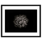 Backyard Flowers In Black And White No 81 with Border thumbnail