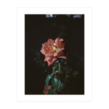 Romantic (Print Only) thumbnail