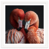 Close Up Of Two Flamingos Nuzzling Together thumbnail