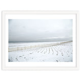 Winter grass in snow beach thumbnail