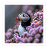 Atlantic Puffin Amidst Pink Heather Flowers (Print Only) thumbnail