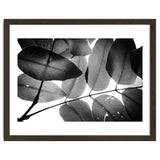 Branches and Leaves, 2016, 3 thumbnail