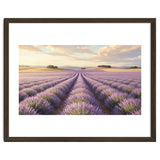 Provençal Sunset: Lavender Field Landscape thumbnail