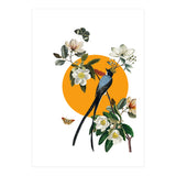 collage floral birds (Print Only) thumbnail