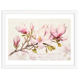 Magnolia Spring Romance Pink thumbnail