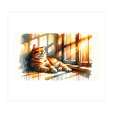 Cat Relaxing In Sunlight (Print Only) thumbnail