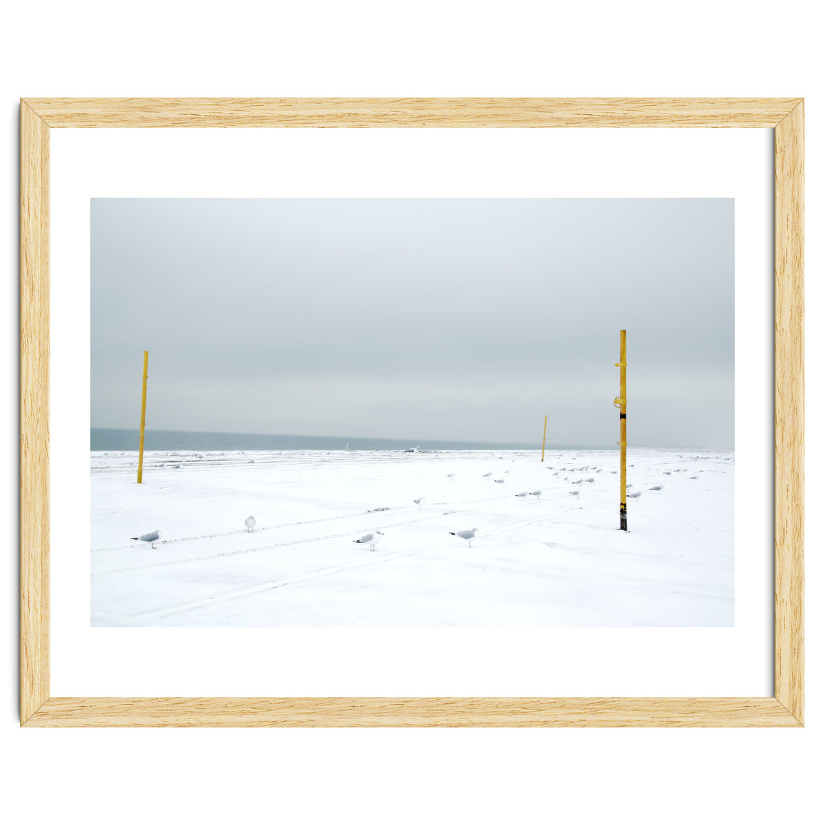 Seagulls in between the volleyball poles in winter snow beach