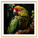 Vibrant Macaw Parrot thumbnail