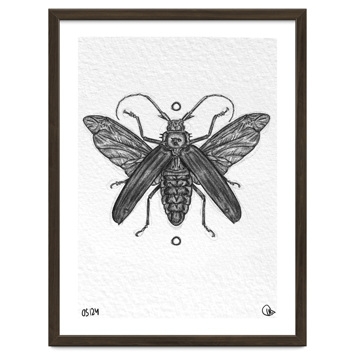 Riesen Longhorn Käfer