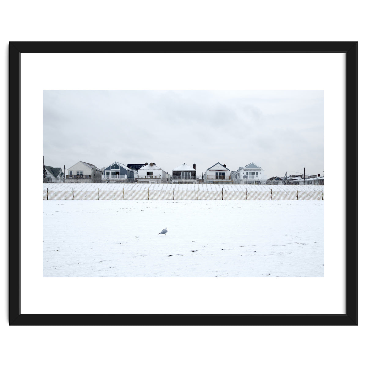 A seagull and snow covered houses