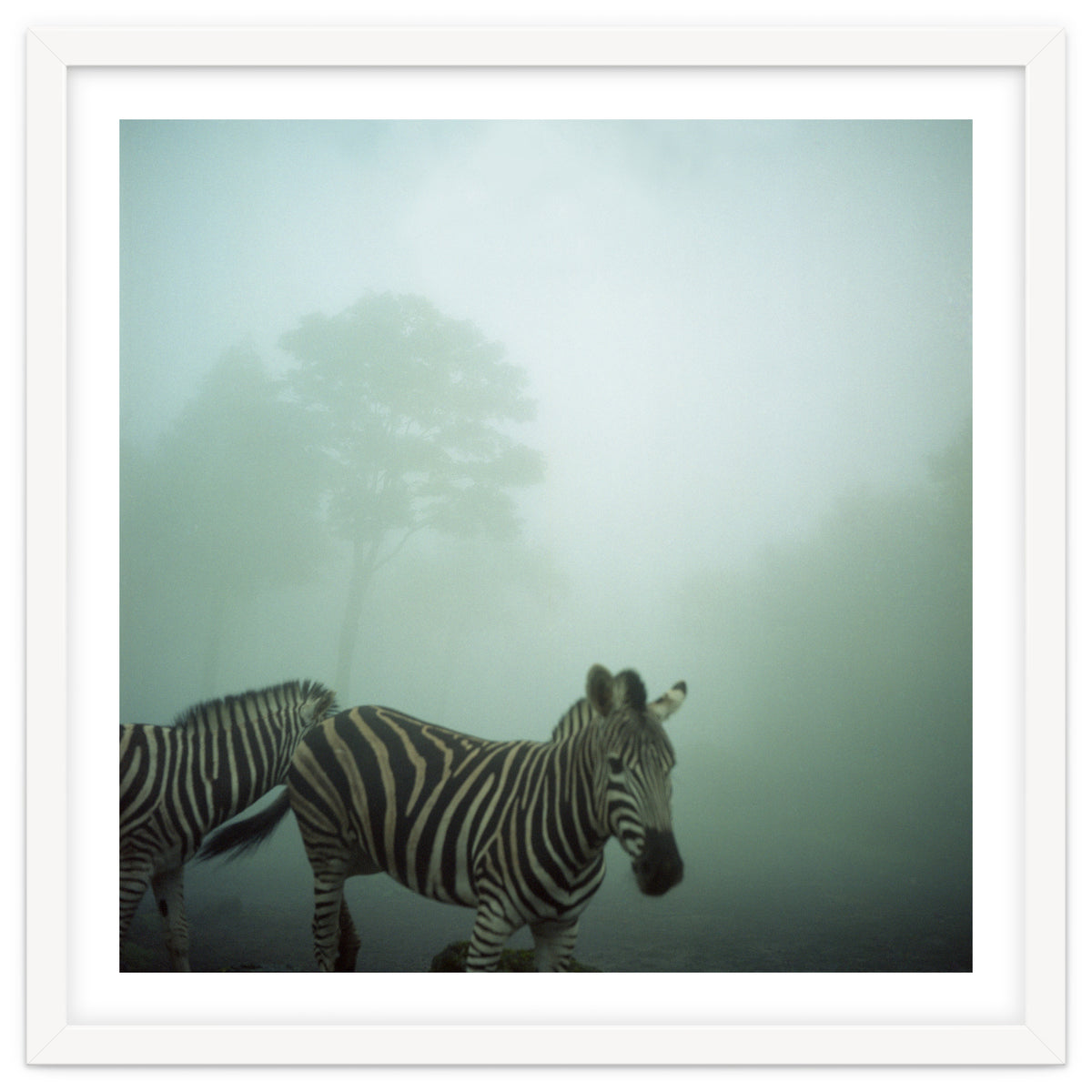 Silence of breath - 16