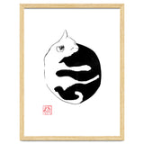 Ying yang Cat thumbnail