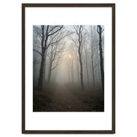 Ethereal Morning Light Breaking Through Dense Forest Fog