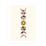 Floral Phases Of The Moon (Print Only) thumbnail