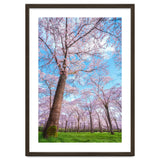 Spring in optima forma thumbnail