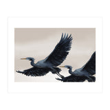 Migrating Herons (Print Only) thumbnail