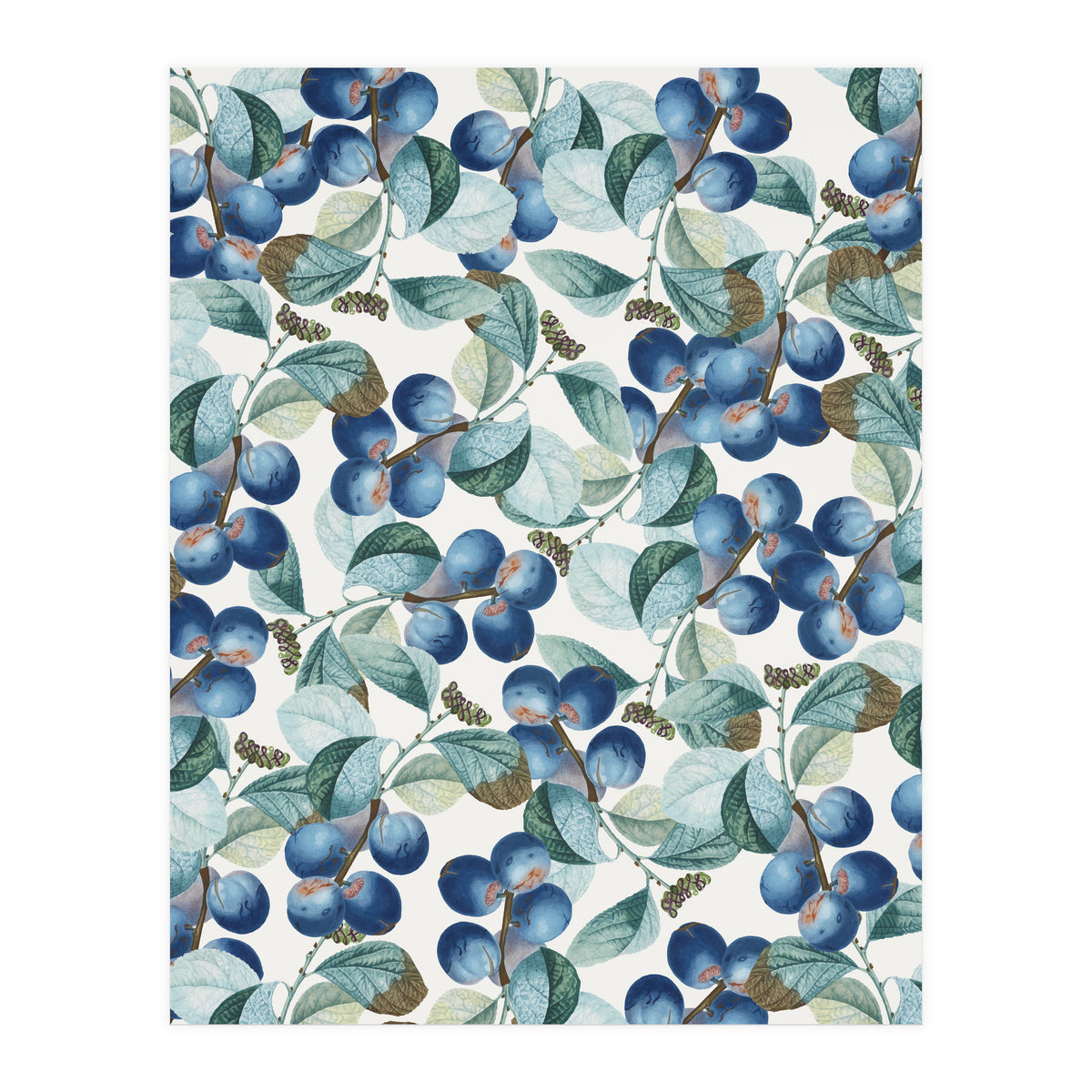 Plum Plum #society6 #decor #buyart (Print Only)