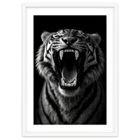 Roaring Tiger portrait