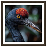 Black Crane Bird Head With Red Crown And Raindrops thumbnail