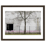 A tree in front of the wall thumbnail
