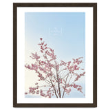 Sakura - cherry blossom thumbnail