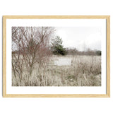 Abandoned Sofa in the middle of nowhere thumbnail