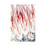 Delicate Florals (Print Only) thumbnail