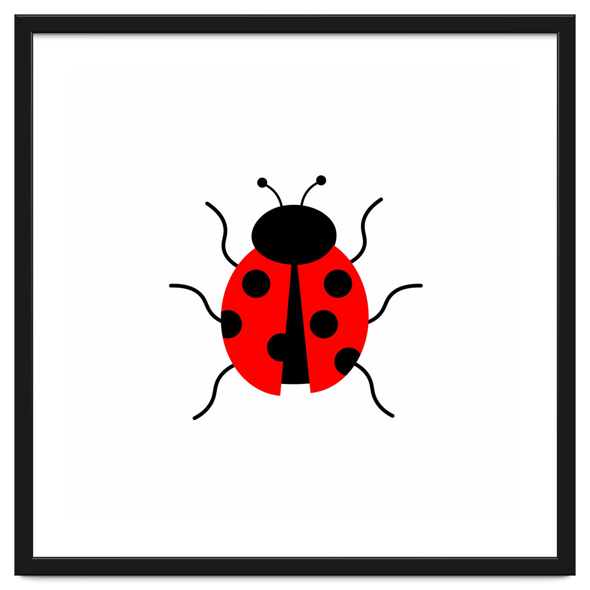 Lady Bug