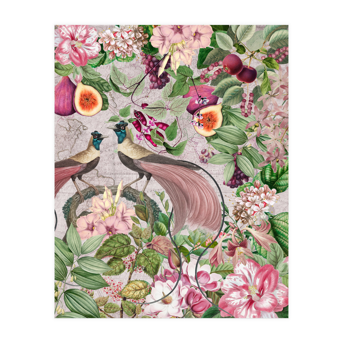 Vintage Birds Of Paradise Jungle  (Print Only)