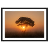 Tree at sunrise thumbnail