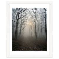 Ethereal Morning Light Breaking Through Dense Forest Fog